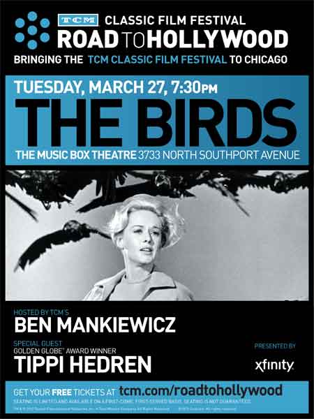 The Birds The Birds